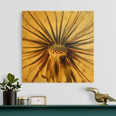 Canvas schilderijen - Goud Dandelion Close Up
