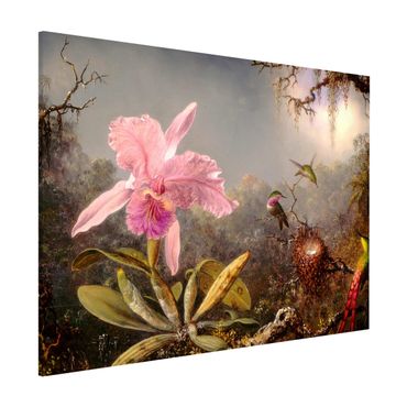 Magneetborden Martin Johnson Heade - Orchid And Three Hummingbirds