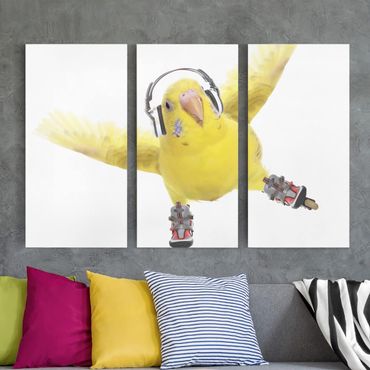Canvas schilderijen - 3-delig Skate Parakeet