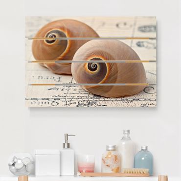 Houten schilderijen op plank Shell Duo