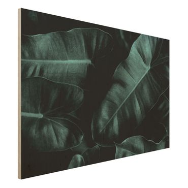 Houten schilderijen Jungle Leaves Dark Green
