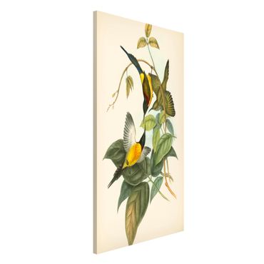 Magneetborden Vintage Illustration Tropical Birds IV