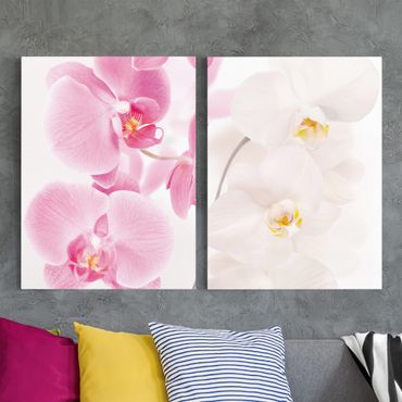 Canvas schilderijen - 2-delig  Delicate Orchids