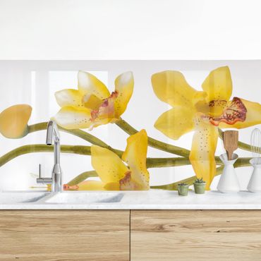 Keukenachterwanden Saffron Orchid Waters