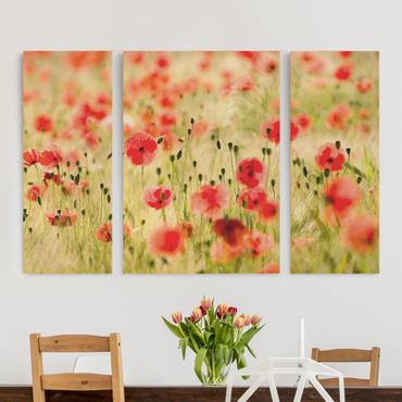 Canvas schilderijen - 3-delig Summer Poppies