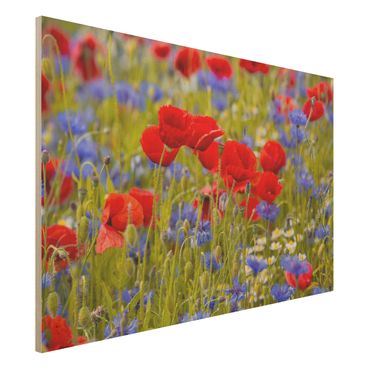 Houten schilderijen Summer Meadow With Poppies And Cornflowers
