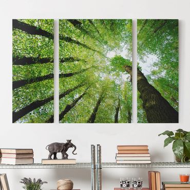 Canvas schilderijen - 3-delig Trees Of Life