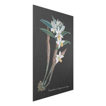 Aluminium Dibond schilderijen White Orchid On Linen I