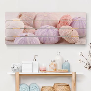 Houten schilderijen op plank Sea Urchin In Pastel