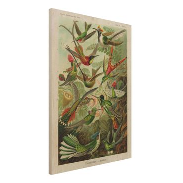 Houten schilderijen Vintage Board Hummingbirds