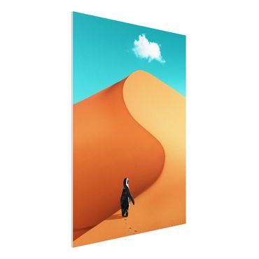 Forex schilderijen Desert With Penguin
