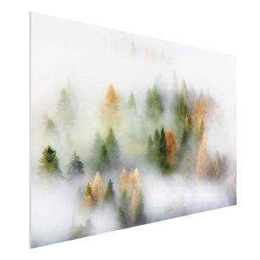 Forex schilderijen Cloud Forest In Autumn