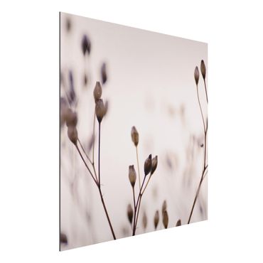 Aluminium Dibond schilderijen Dark Buds On Wild Flower Twig