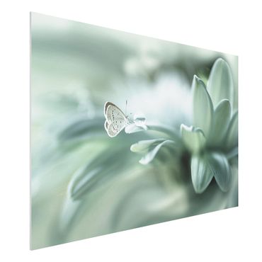 Forex schilderijen Butterfly And Dew Drops In Pastel Green