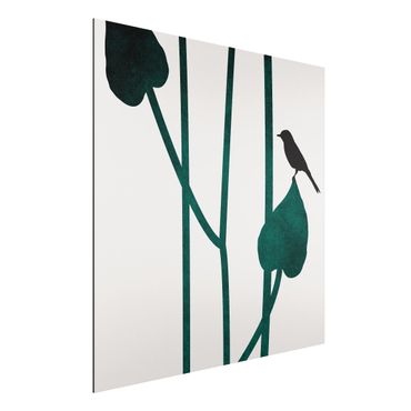Aluminium Dibond schilderijen Graphical Plant World - Bird On Leaf