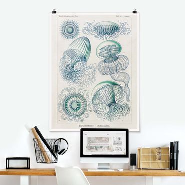 Posters Vintage Board Jellyfish In Blue