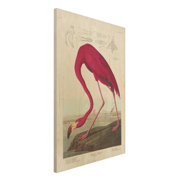 Houten schilderijen Vintage Board American Flamingo