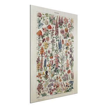 Aluminium Dibond schilderijen Vintage Board Flowers V