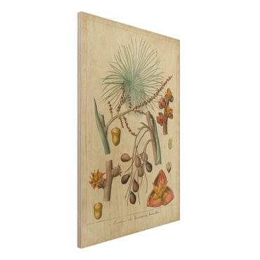 Houten schilderijen Vintage Board Exotic Palms III