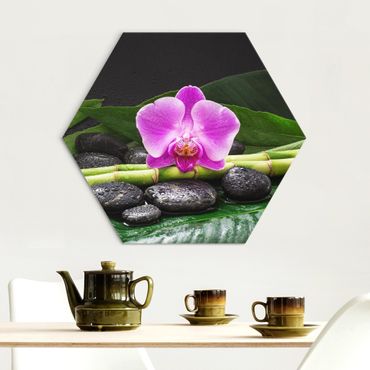 Hexagons Aluminium Dibond schilderijen Green Bamboo With Orchid Flower
