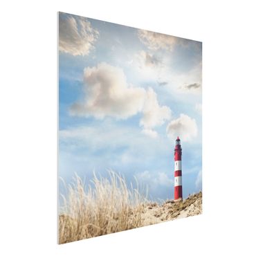 Forex schilderijen Lighthouse Between Dunes