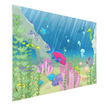 Forex schilderijen No.RY25 Underwater World