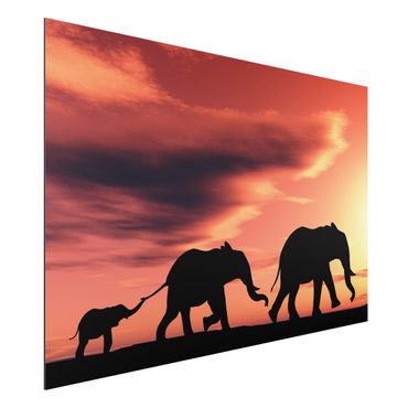 Aluminium Dibond schilderijen Savannah Elephant Family
