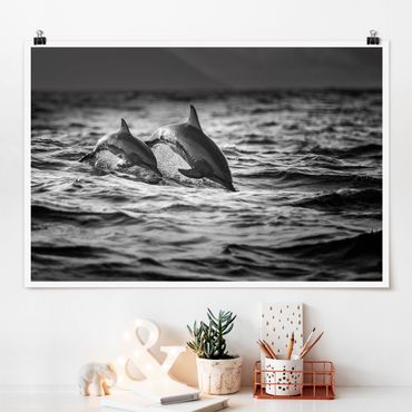 Posters Two Jumping Dolphins