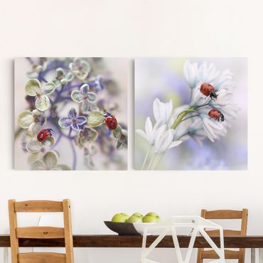 Canvas schilderijen - 2-delig  Ladybug On Flowers