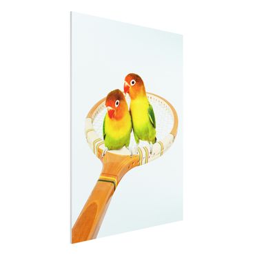 Forex schilderijen Tennis With Birds