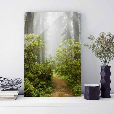 Glasschilderijen Misty Forest Path