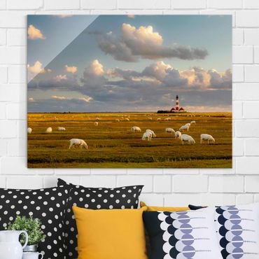 Glasschilderijen North Sea Lighthouse With Flock Of Sheep