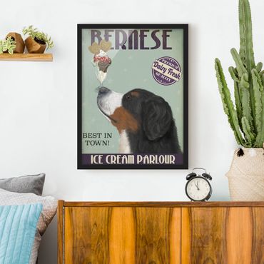 Ingelijste posters Bernese Mountain Dog With Ice