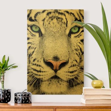 Canvas schilderijen - Goud White Tiger