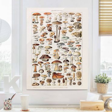 Glasschilderijen Vintage Board Mushrooms
