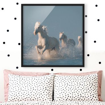 Ingelijste posters Herd Of White Horses
