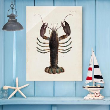 Glasschilderijen Vintage Illustration Lobster