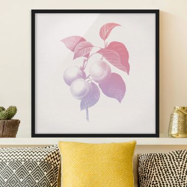 Ingelijste posters Modern Vintage Botanik Peach Light Pink Violet