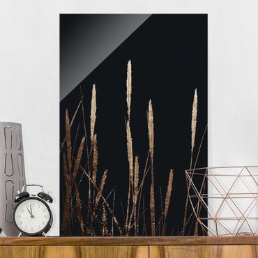 Glasschilderijen Graphical Plant World - Golden Reed