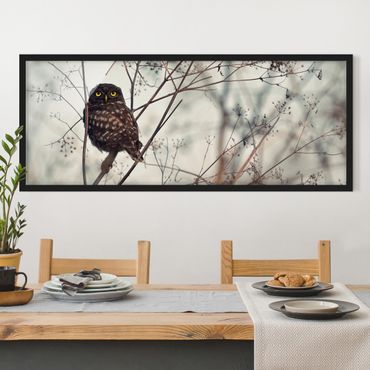 Ingelijste posters Owl In The Winter