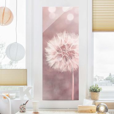Glasschilderijen Dandelion Bokeh Light Pink