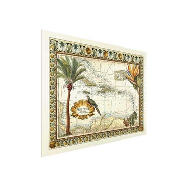 Glasschilderijen Vintage Tropical Map West Indies