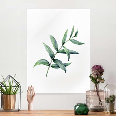 Glasschilderijen Waterclolour Eucalyptus l