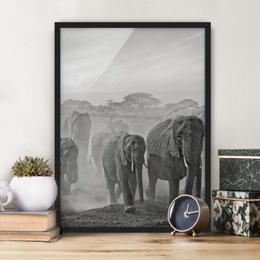 Ingelijste posters Herd Of Elephants