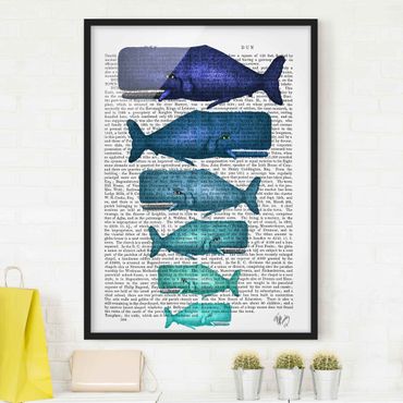 Ingelijste posters Animal Reading - Whale Family