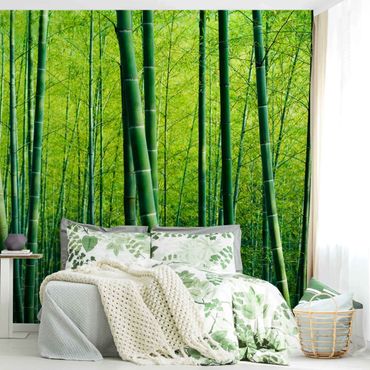 Fotobehang Bamboo Forest