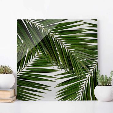 Glasschilderijen View Through Green Palm Leaves