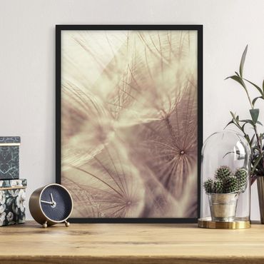 Ingelijste posters Detailed Dandelion Macro Shot With Vintage Blur Effect