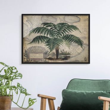 Ingelijste posters Vintage Collage - Palm And World Map