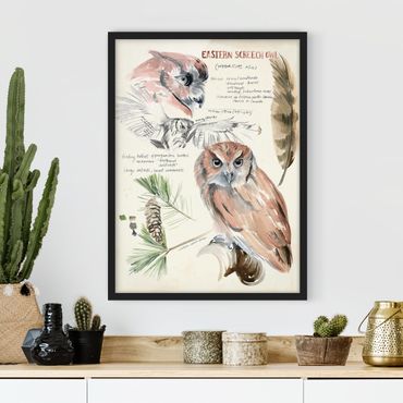 Ingelijste posters Wilderness Journal - Owl